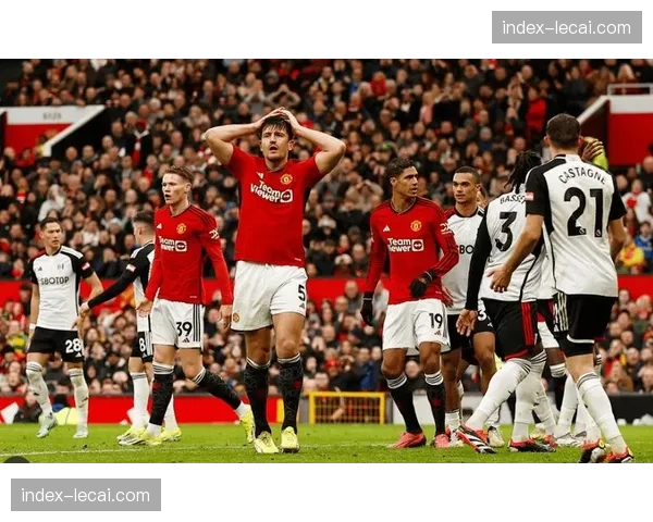 富勒姆憾负曼联 球队虽败但展现顽强斗志